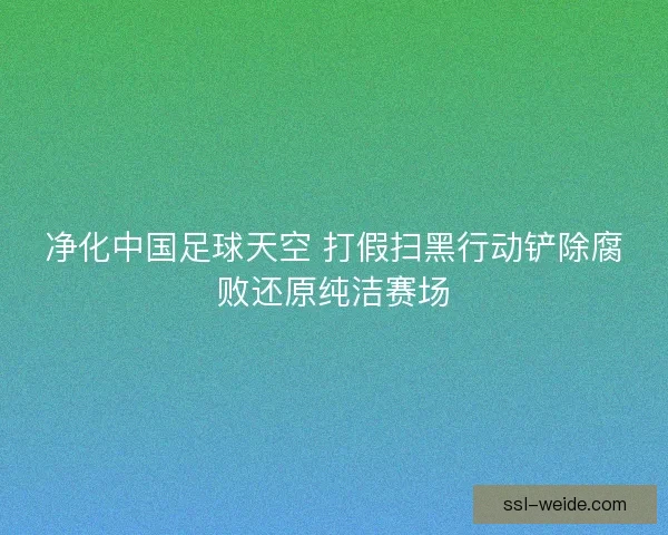 净化中国足球天空 打假扫黑行动铲除腐败还原纯洁赛场